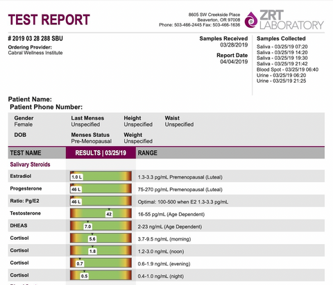 Adrenal & Hormones Test + 45 Min Health Consult